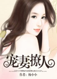 宠妻成瘾小说
